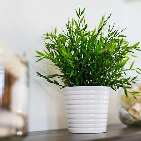 Due Passi Dal Borgo Antico Bari